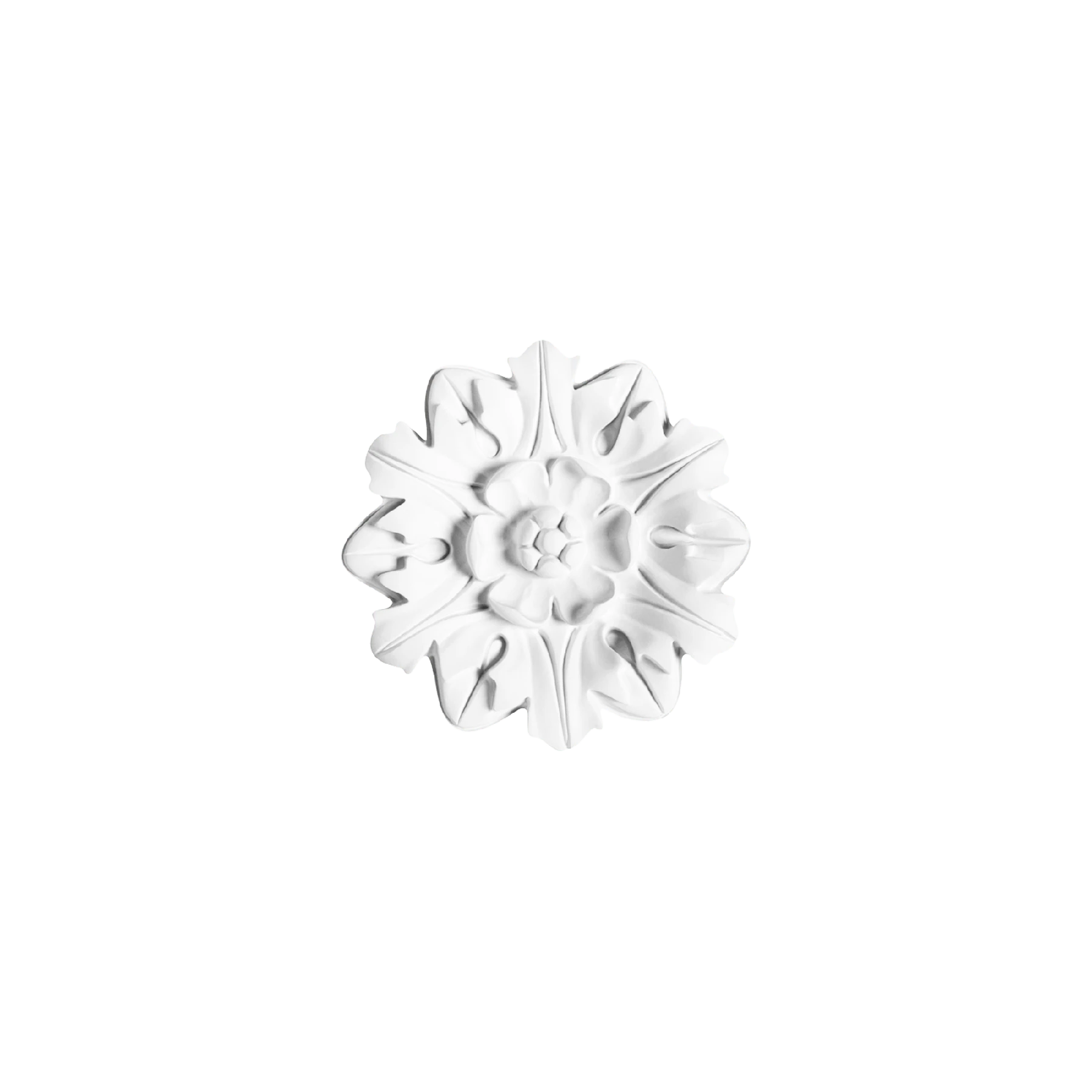 R12 · Фото профілю