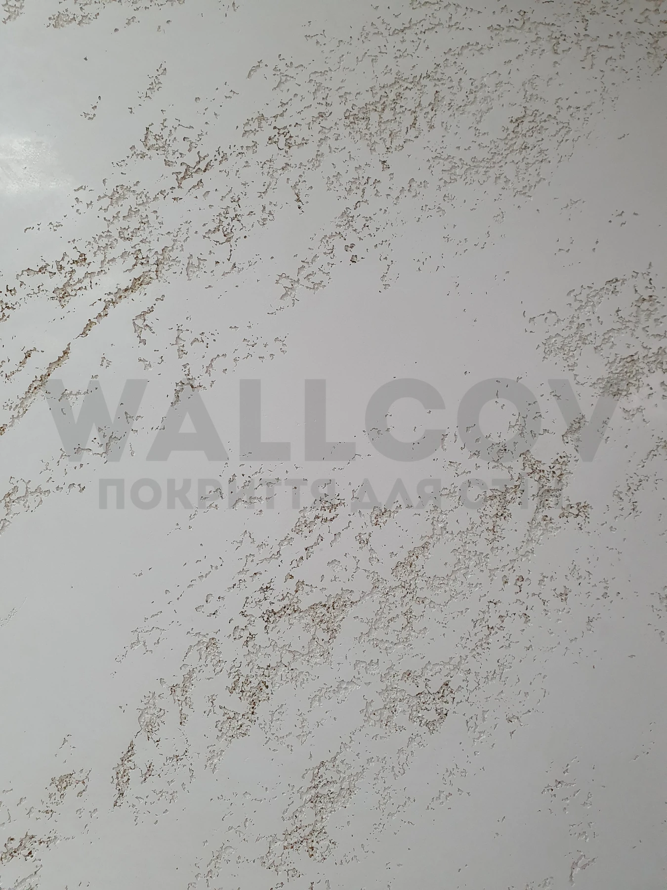 Реальний об'єкт Wallcov: глянцевий художній травертин, фактура крупно