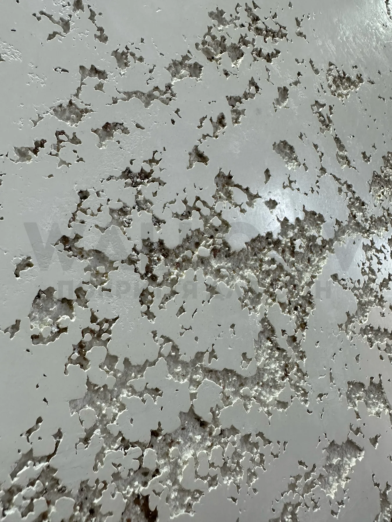 Реальний об'єкт Wallcov: глянцевий травертин, рельєф крупно